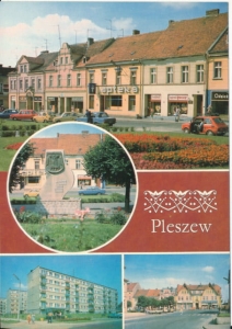 Pleszew widoki widokowa - 023444