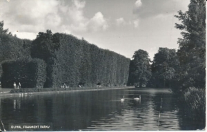 Gdańsk Oliwa park - 023542