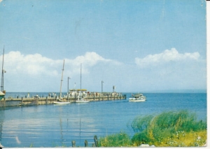 Krynica Morska przystań - 023627