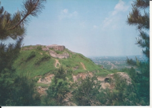 Tarnów ruiny zamku - 023647