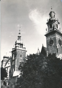 Kraków Wawel katedra - 023720