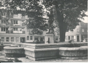 Strzelce Opolskie rynek - 023832
