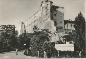 Sandomierz Zamek - 023849