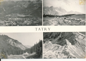 Tatry Zakopane widoki - 024231