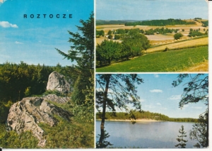 Roztocze widoki widokowa - 024446