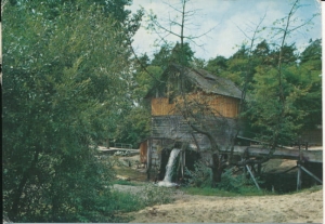 Susiec stary młyn - 024720