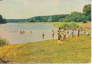 Wielkopolski Park Narodowy - 024879