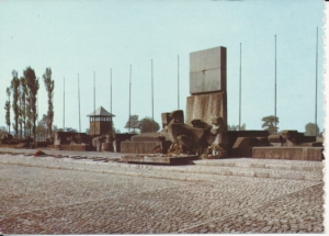 Brzezinka Auschwitz Oświęcim - 025037