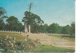 Puławy pomnik - 025094