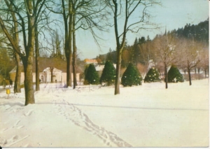Duszniki Zdrój park zdrojowy - 025133