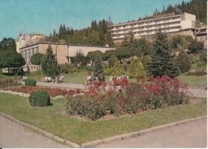Krynica fragment uzdrowiska - 025146