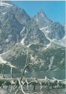Tatry Turnia Mnicha - 025203