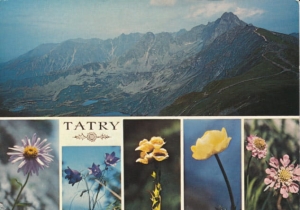 Tatry Stawy Gąsienicowe - 025208