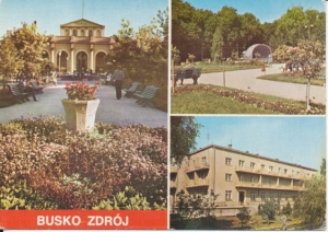 Busko Zdrój widokowa - 025318