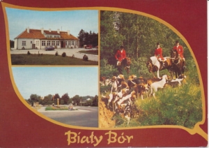 Biały Bór widokowa - 025321