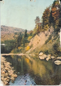 Łosie Beskid Niski - 025500