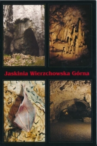 Jaskinia Wierzchowska Górna - 025618