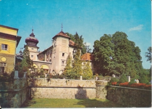 Łańcut muzeum - 025649