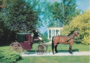 Łańcut zaprzęg konny - 025656