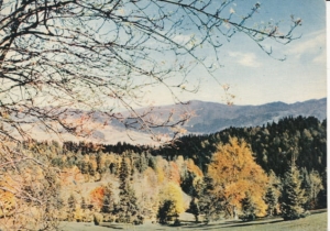 Jesień w Pieninach - 025675