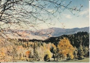 Jesień w Pieninach - 025676