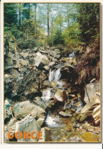 Gorce rzeka Kamienica - 025740