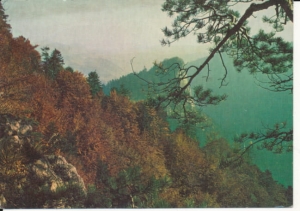Pieniny widok z Czertezika - 025874