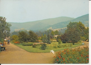 Ustroń park - 026081