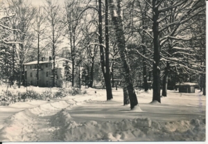 Lądek Zdrój park - 026184