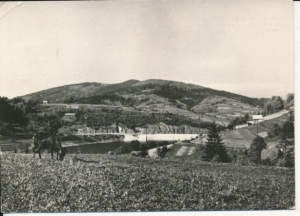 Czernichów fragment jeziora - 026199