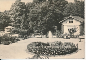 Jastrzębie Zdrój park - 026211