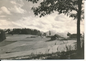 Bukowina Tatrzańska - 026214