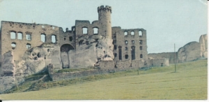Ogrodzieniec ruiny zamku - 026351