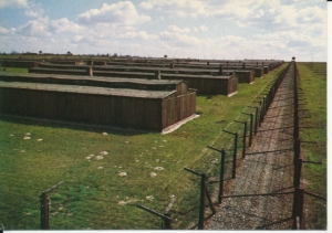 Majdanek muzeum obóz - 026483
