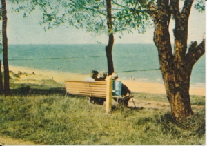 Rewal brzeg morza - 026604