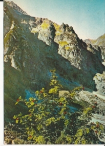 Tatry Dolina Roztoki - 026684