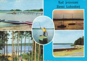 Jeziora Ziemi Lubuskiej - 026741