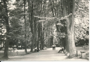 Długopole Zdrój park - 026784
