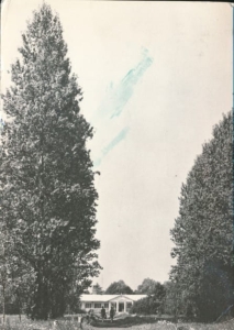 Horyniec Zdrój - 026786