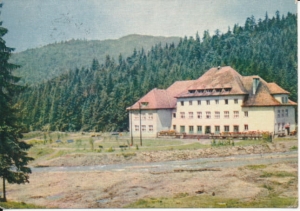Wisła Malinka - 026836