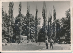 Jastrzębie Zdrój park - 026873