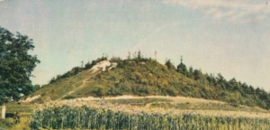 Roztocze Tarnowola - 027088