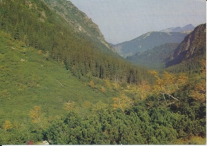 Tatry Dolina Roztoki - 027115