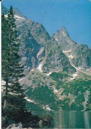 IMG_0037.jpg