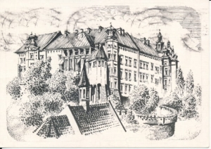 Kraków Wawel zamek - 027316