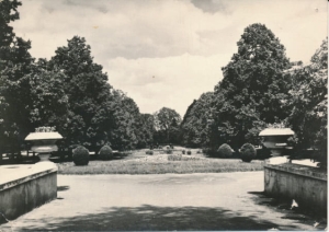 Zamość park - 027396