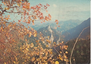 Pieniny widok z Zamkowej Góry - 027515