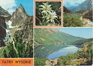 Tatry Wysokie widokowa - 027552