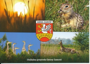 Zamość widoki widokowa - 027667