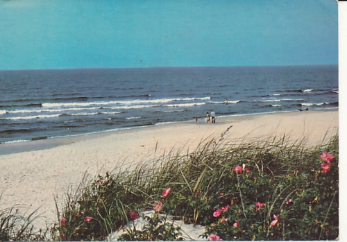 IMG_0047.jpg